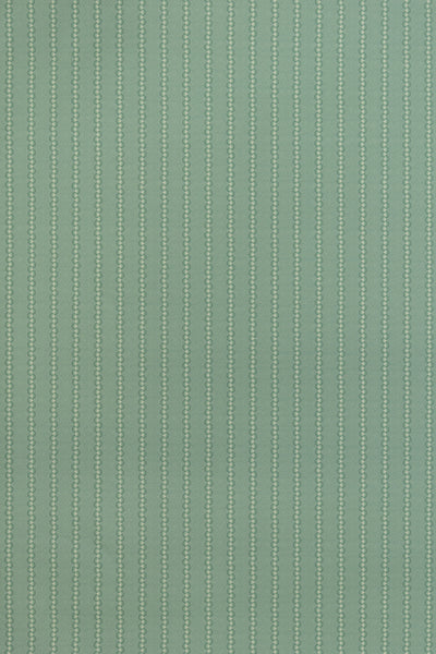 jmp-squ-05 shark_SQUEAK wallpaper