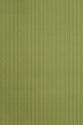 JMP-SQU-07 lime leaf