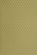 JMP-SQUIRREL-08 olive