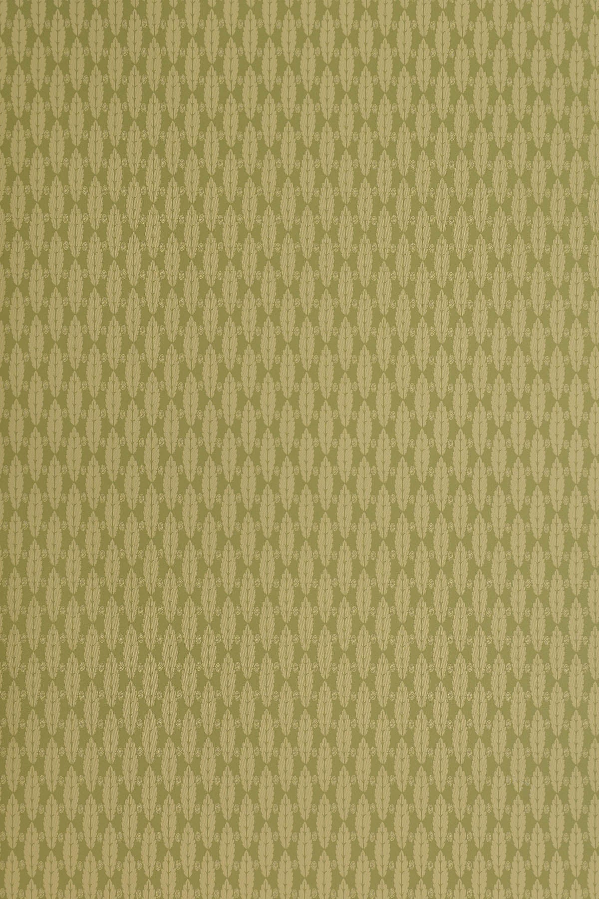 jmp-squirrel-08 olive_SQUIRREL LEAF wallpaper
