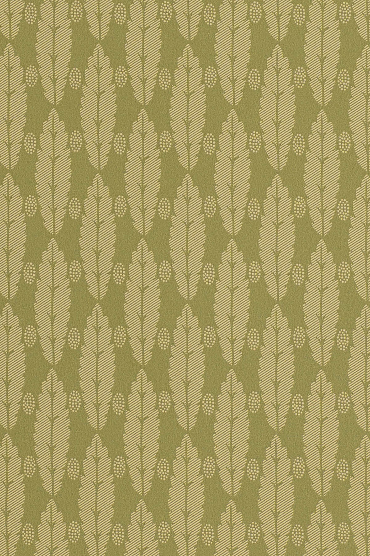 jmp-squirrel-08 olive_SQUIRREL LEAF wallpaper