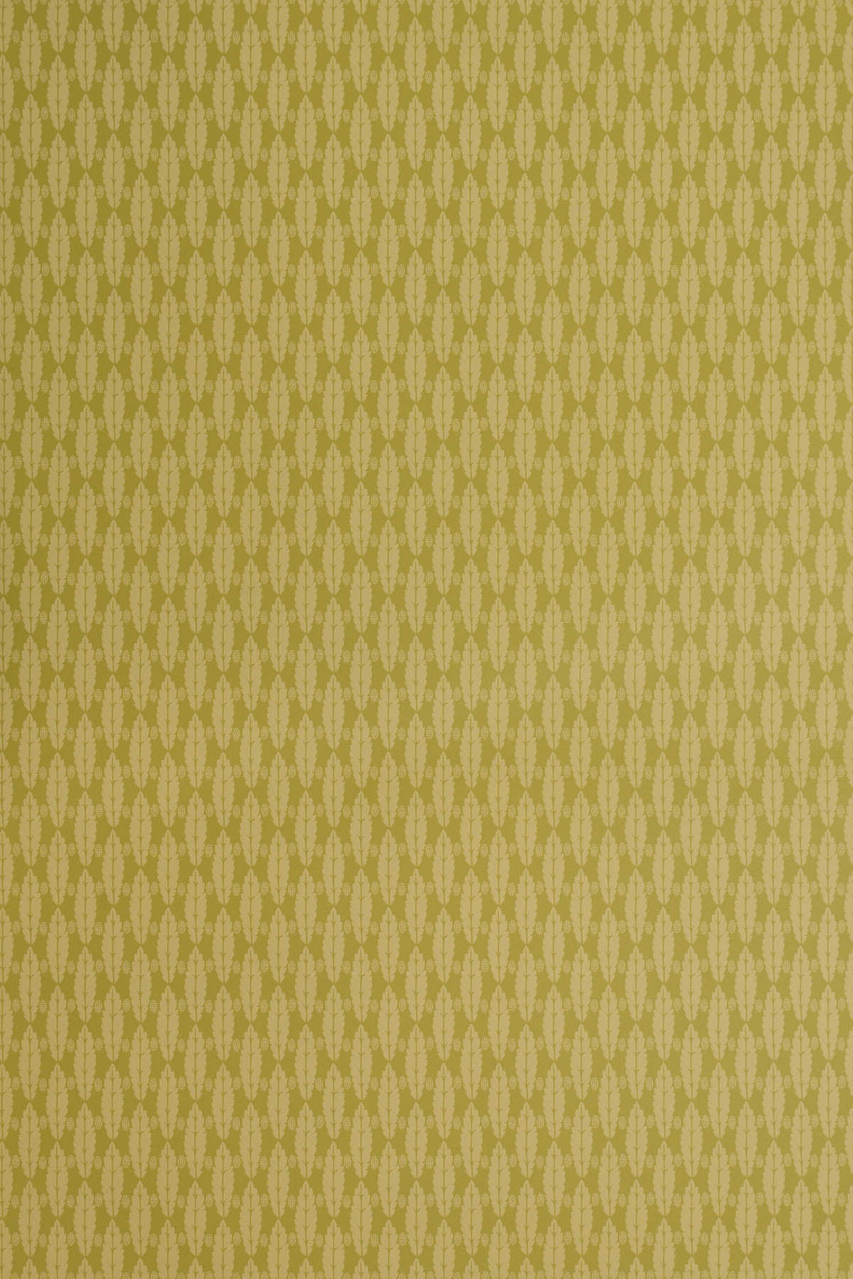 jmp-squirrel-03 lime_SQUIRREL LEAF wallpaper