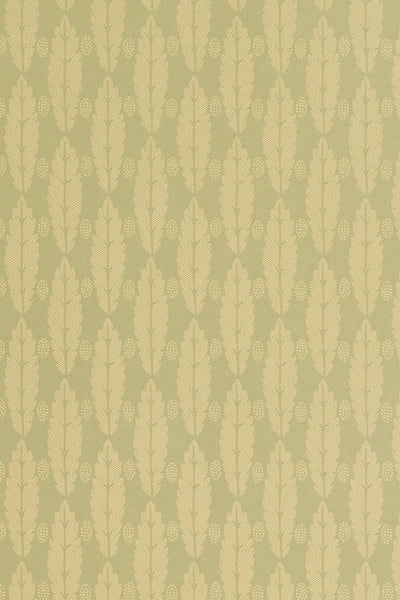 jmp-squirrel-01 duck egg_SQUIRREL LEAF wallpaper