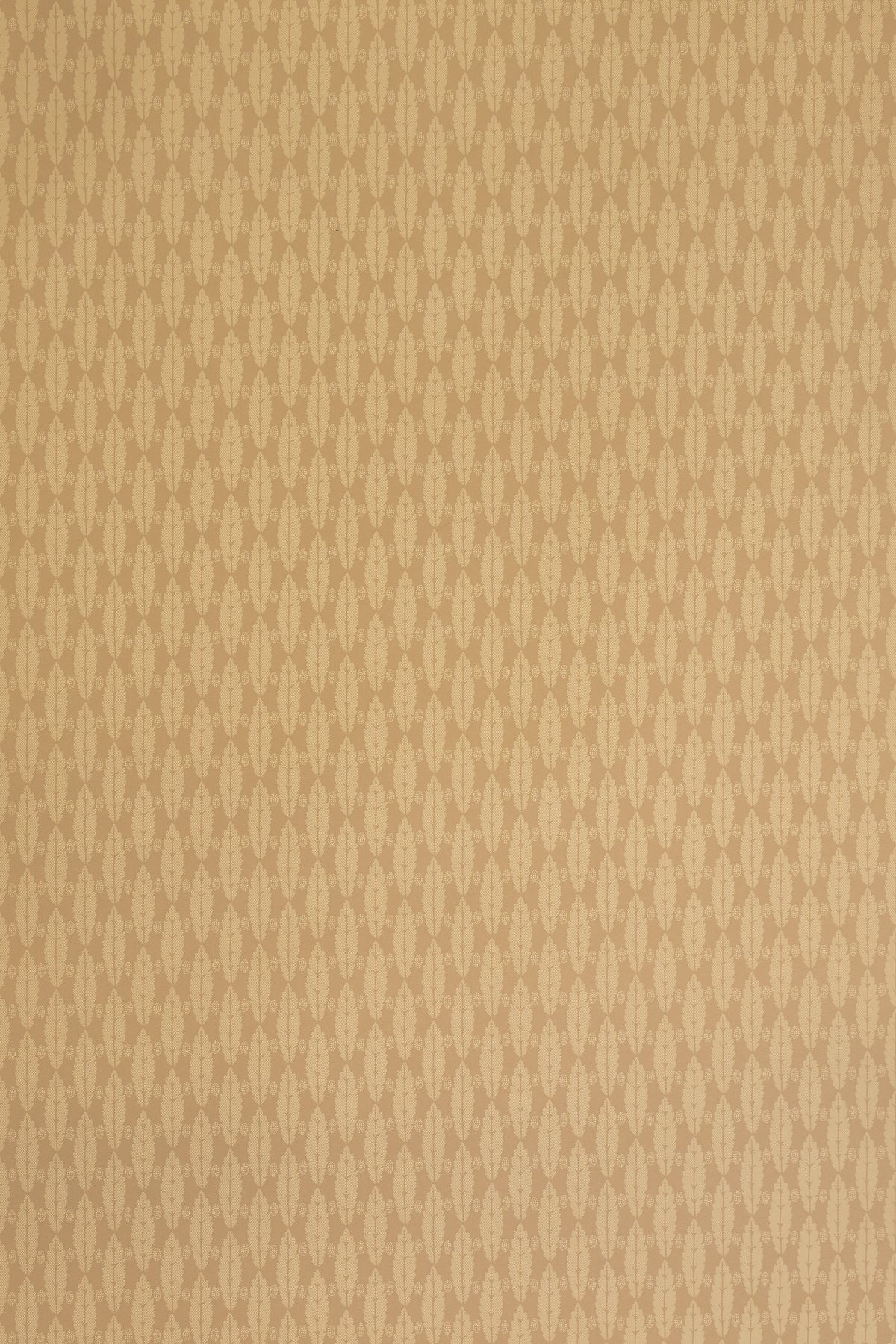 jmp-squirrel-02 taupe_SQUIRREL LEAF wallpaper