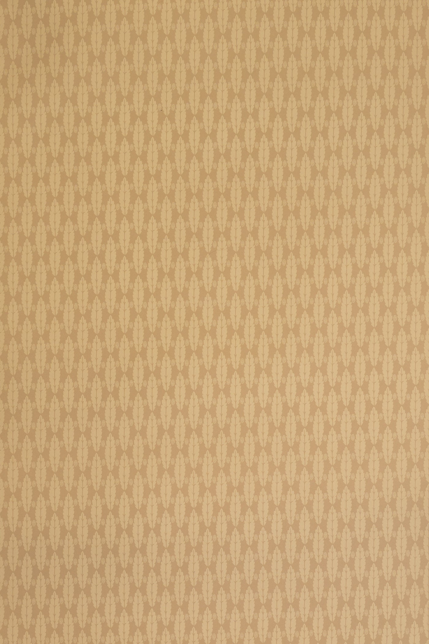 jmp-squirrel-02 taupe_SQUIRREL LEAF wallpaper