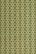 JMP-SQUIRREL-06 forest