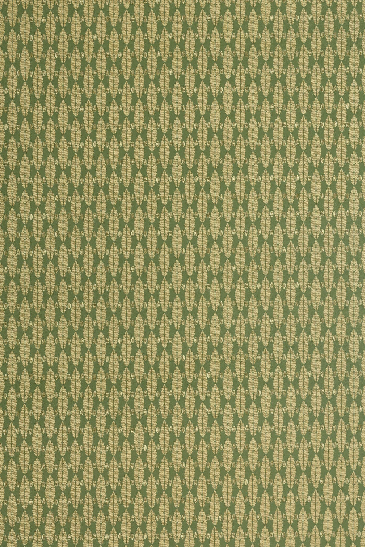 jmp-squirrel-06 forest_SQUIRREL LEAF wallpaper
