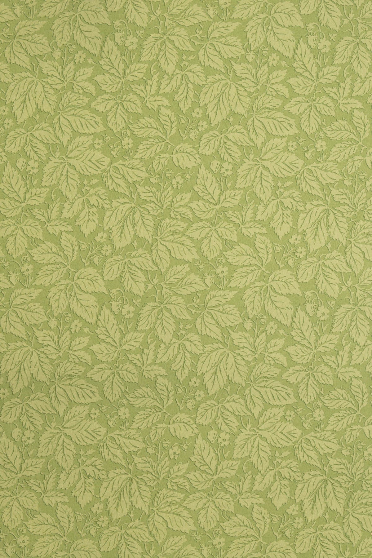 jmp-stra-05 spring_STRAWBERRY WOOD wallpaper