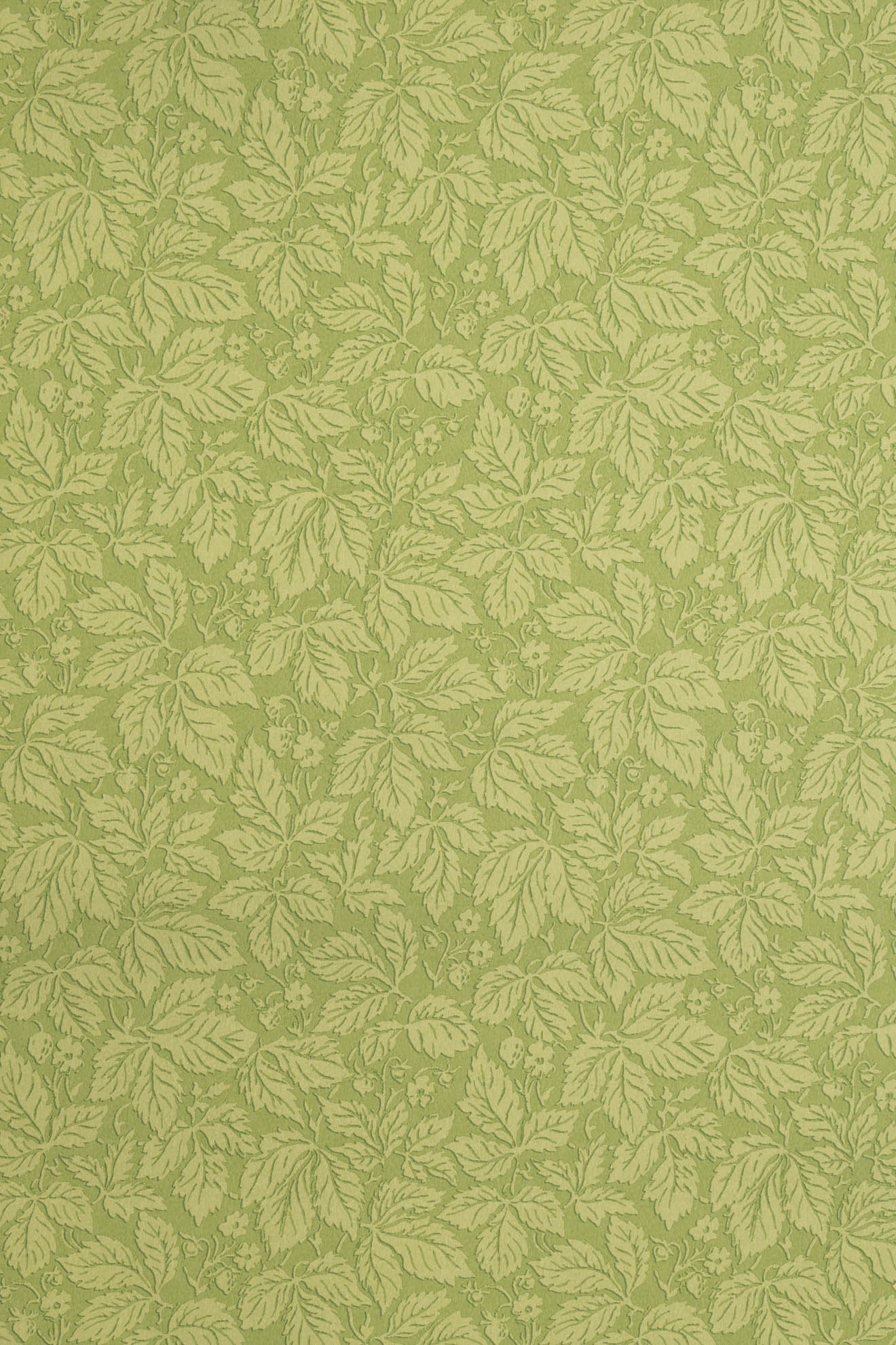 jmp-stra-05 spring_STRAWBERRY WOOD wallpaper