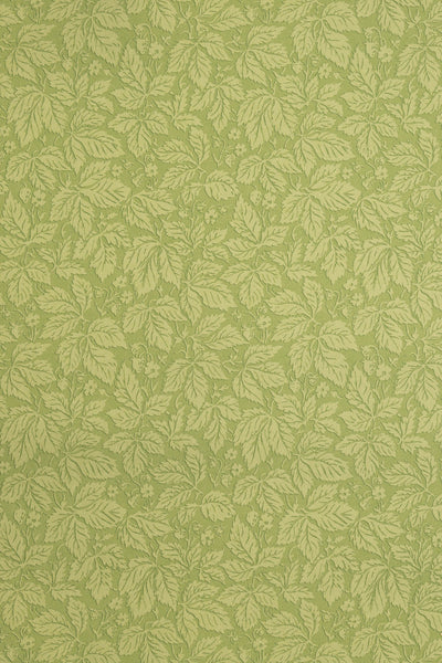 jmp-stra-05 spring_STRAWBERRY WOOD wallpaper