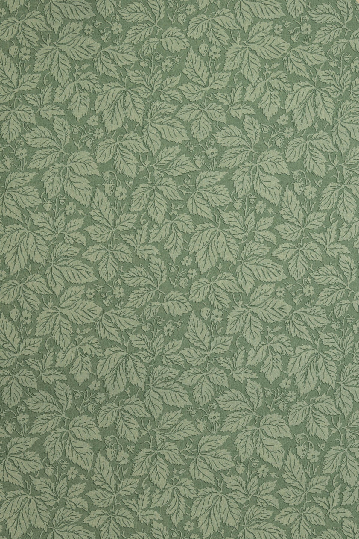 jmp-stra-06 mallard_STRAWBERRY WOOD wallpaper