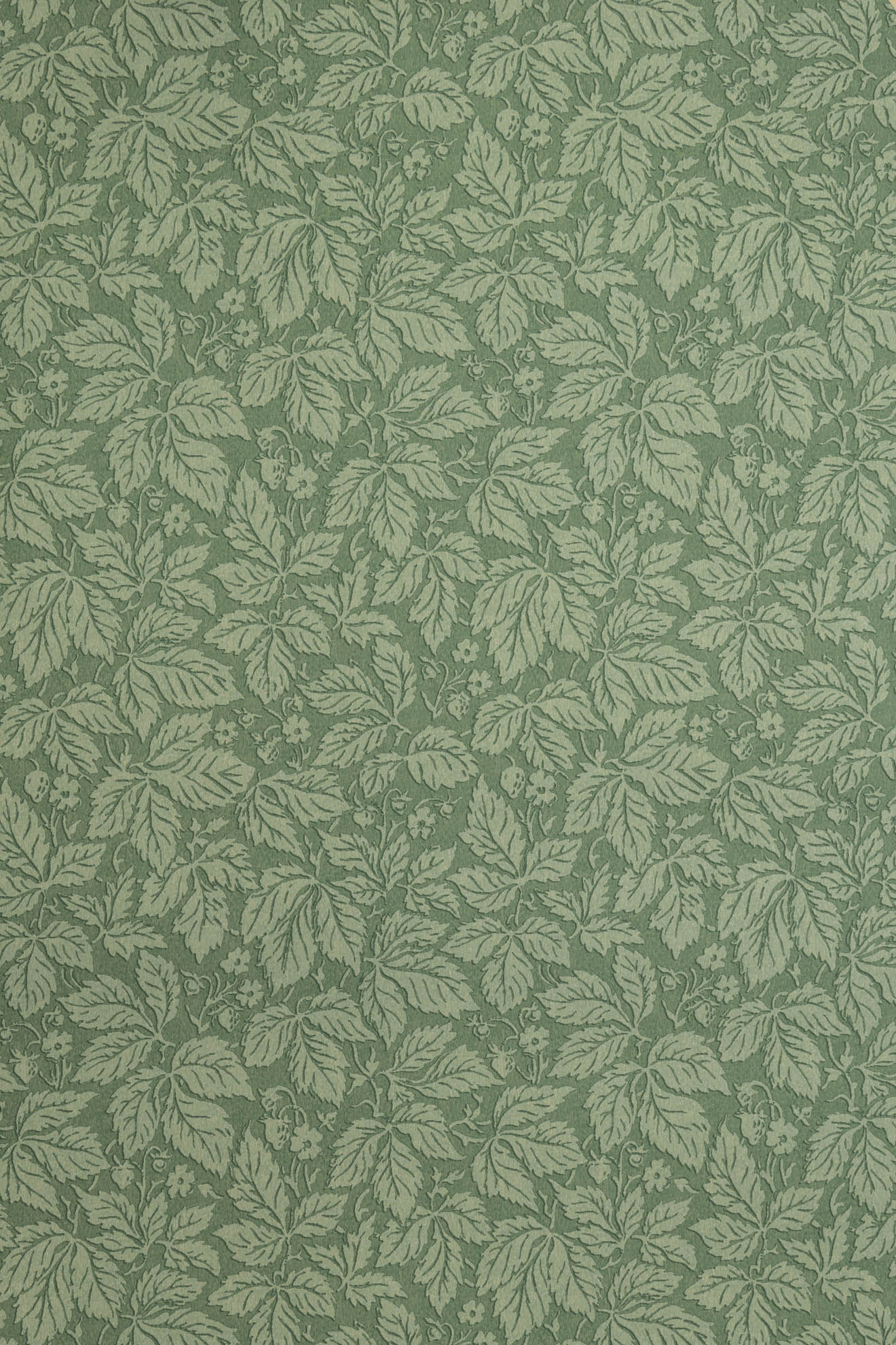 jmp-stra-06 mallard_STRAWBERRY WOOD wallpaper
