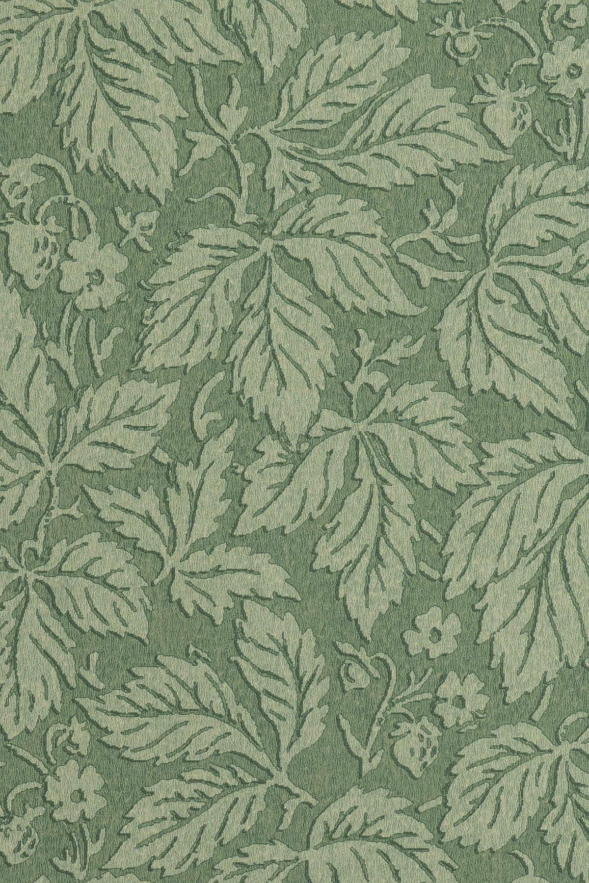 jmp-stra-06 mallard_STRAWBERRY WOOD wallpaper