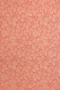 JMP-STRA-04 rose