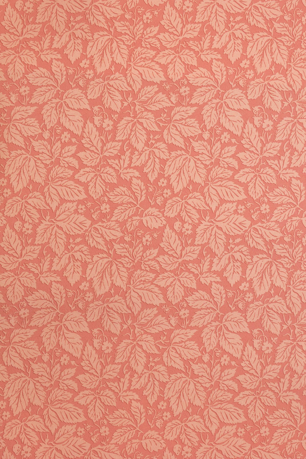 jmp-stra-04 rose_STRAWBERRY WOOD wallpaper