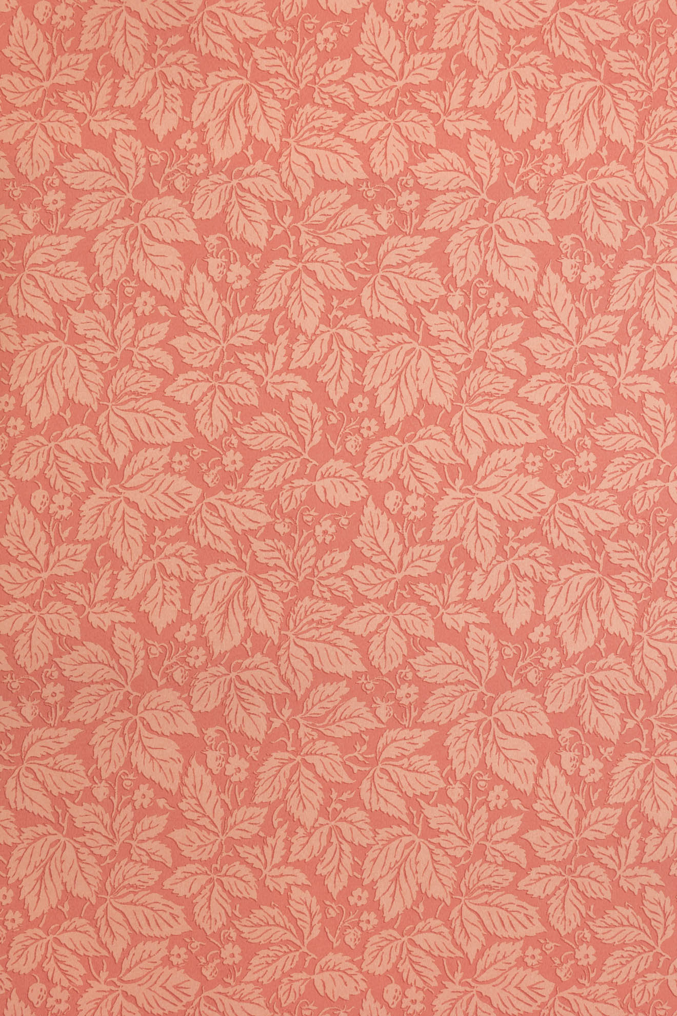 jmp-stra-04 rose_STRAWBERRY WOOD wallpaper
