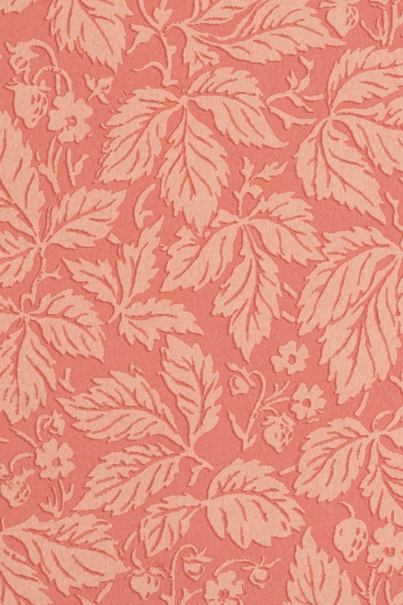 jmp-stra-04 rose_STRAWBERRY WOOD wallpaper