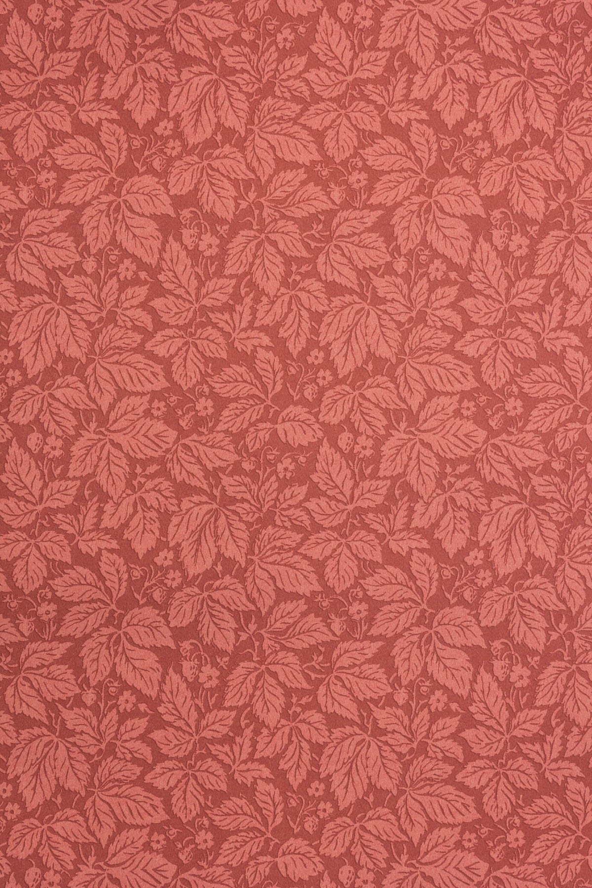 jmp-stra-03 jam_STRAWBERRY WOOD wallpaper