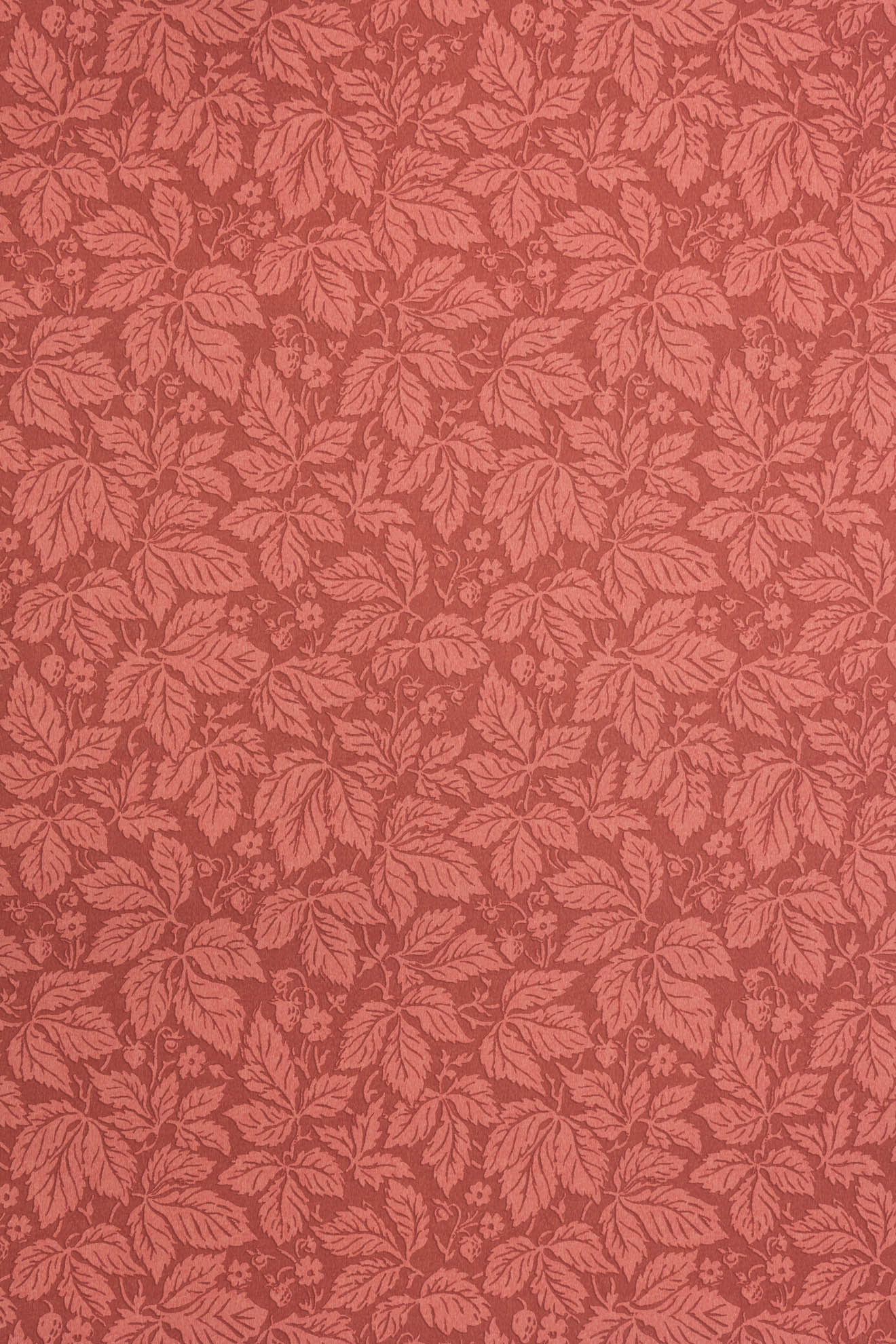 jmp-stra-03 jam_STRAWBERRY WOOD wallpaper