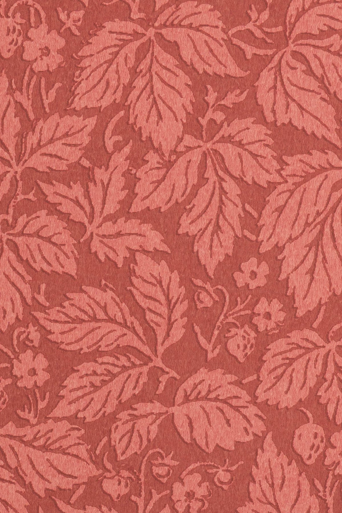 jmp-stra-03 jam_STRAWBERRY WOOD wallpaper
