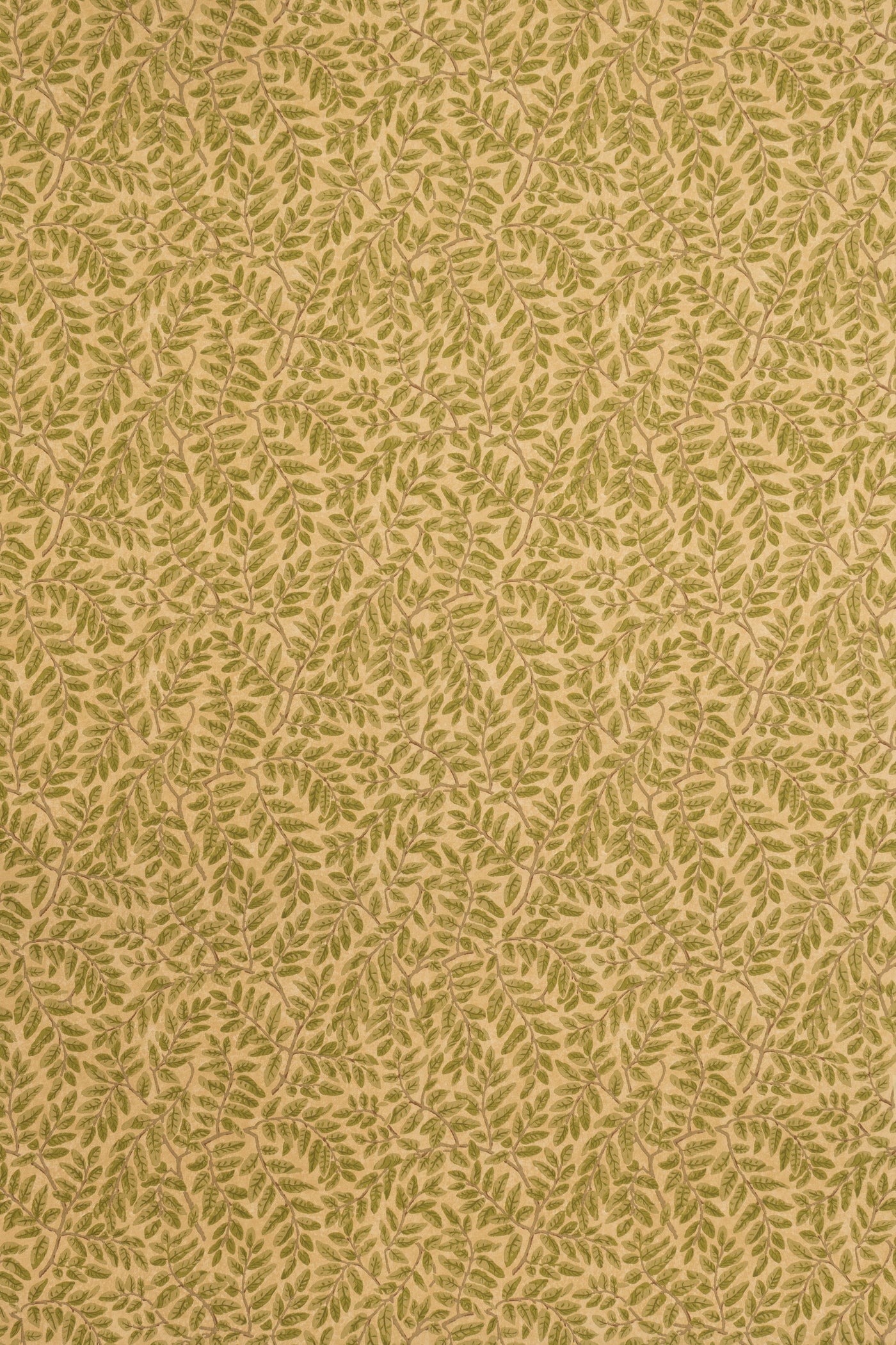 jmp-tar-05 document_TARA wallpaper