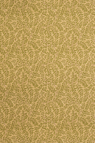 jmp-tar-05 document_TARA wallpaper