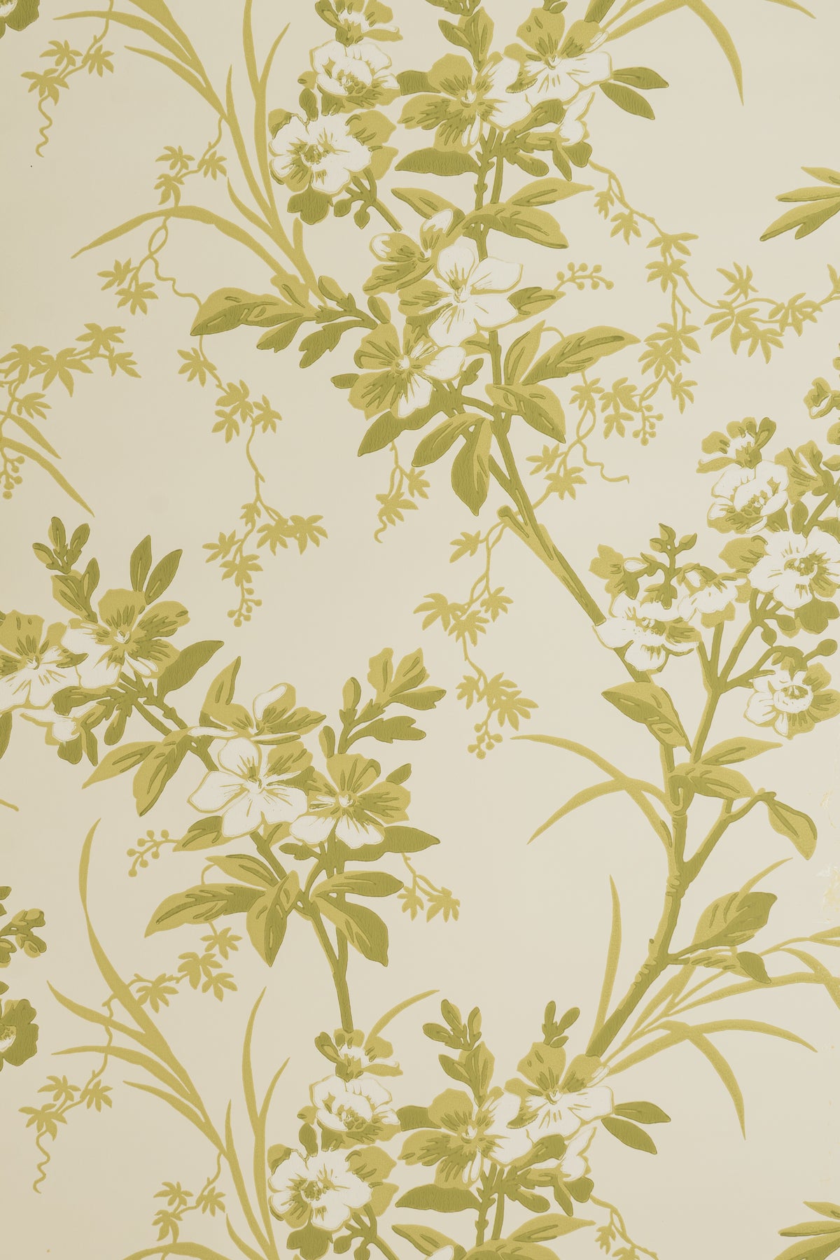 jmp-gar-04 lichen_TEMPLETON GARDEN wallpaper