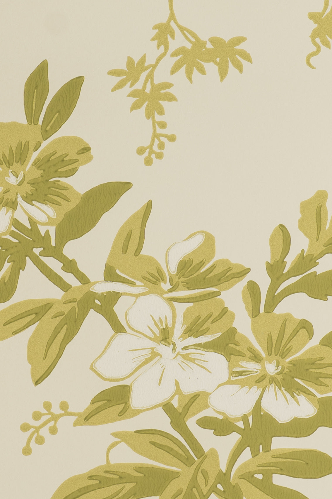 jmp-gar-04 lichen_TEMPLETON GARDEN wallpaper