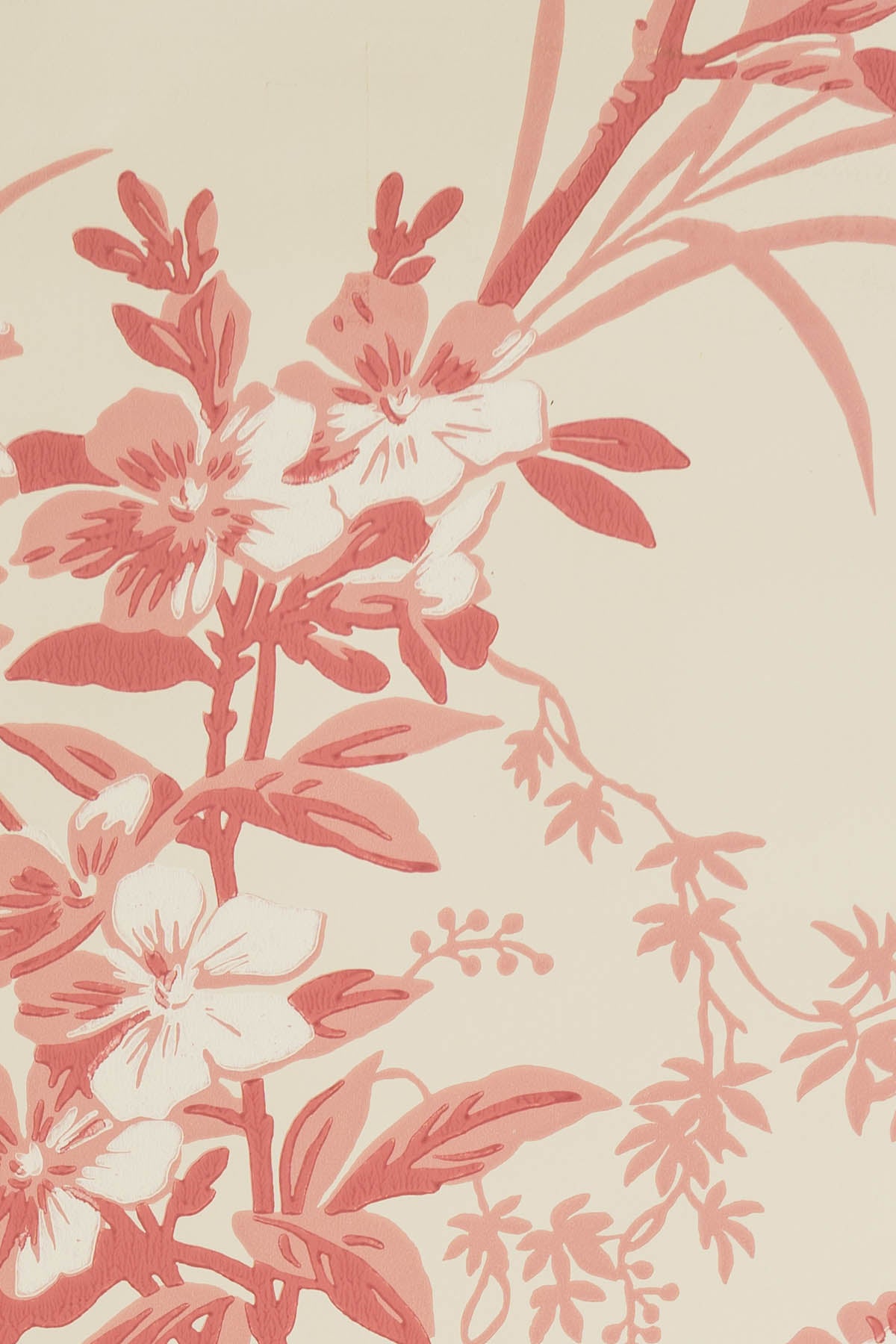 jmp-gar-02 old rose_TEMPLETON GARDEN wallpaper