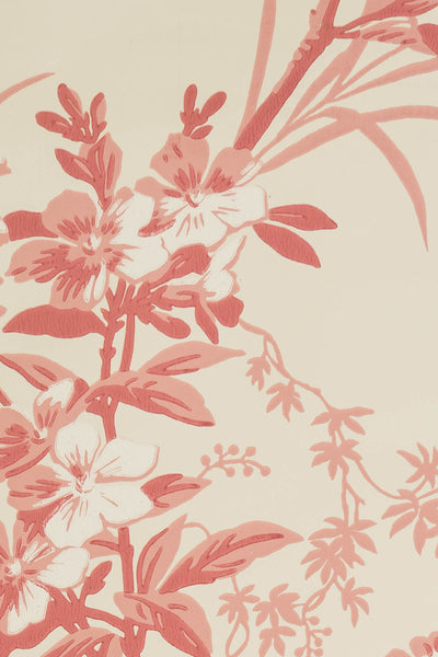 jmp-gar-02 old rose_TEMPLETON GARDEN wallpaper