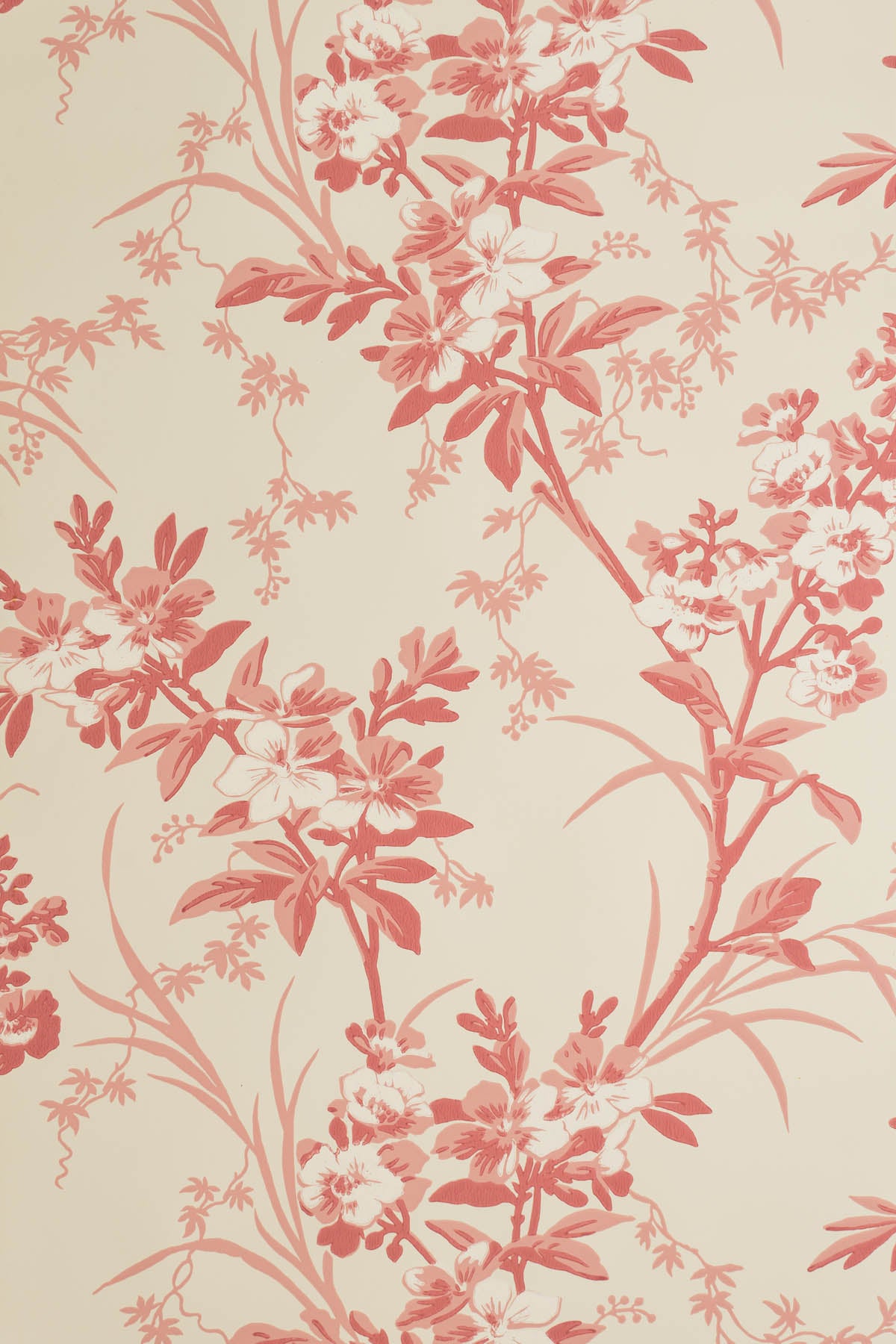 jmp-gar-02 old rose_TEMPLETON GARDEN wallpaper