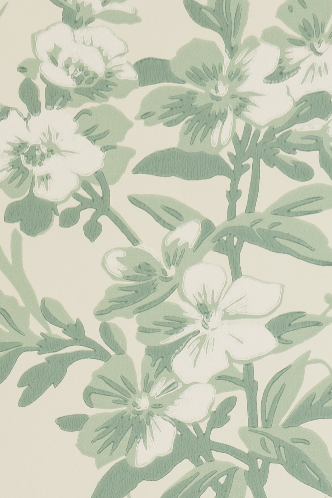 jmp-gar-05 seafoam_TEMPLETON GARDEN wallpaper