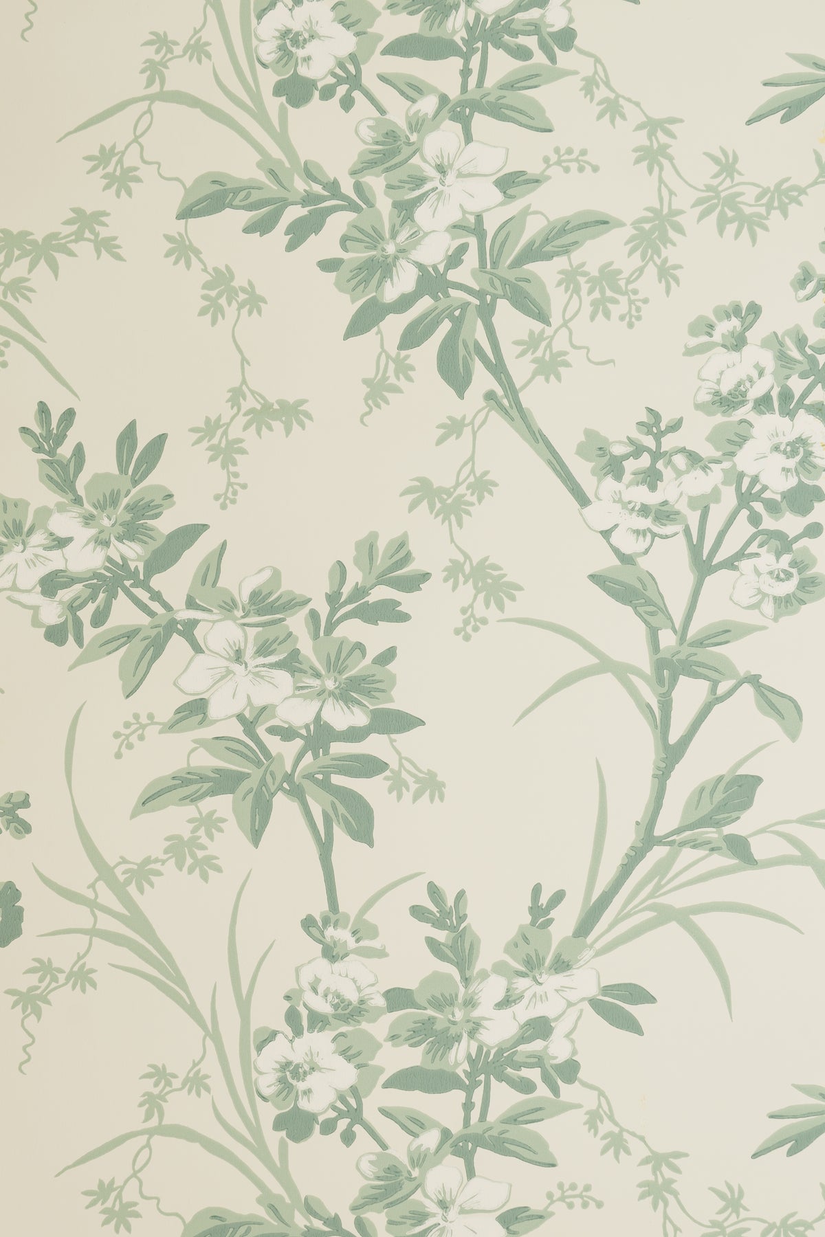 jmp-gar-05 seafoam_TEMPLETON GARDEN wallpaper