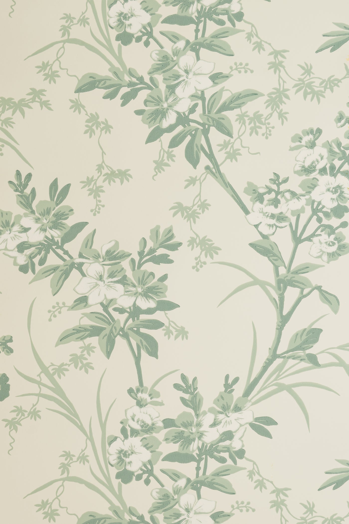 jmp-gar-05 seafoam_TEMPLETON GARDEN wallpaper