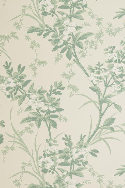 jmp-gar-05 seafoam_TEMPLETON GARDEN wallpaper