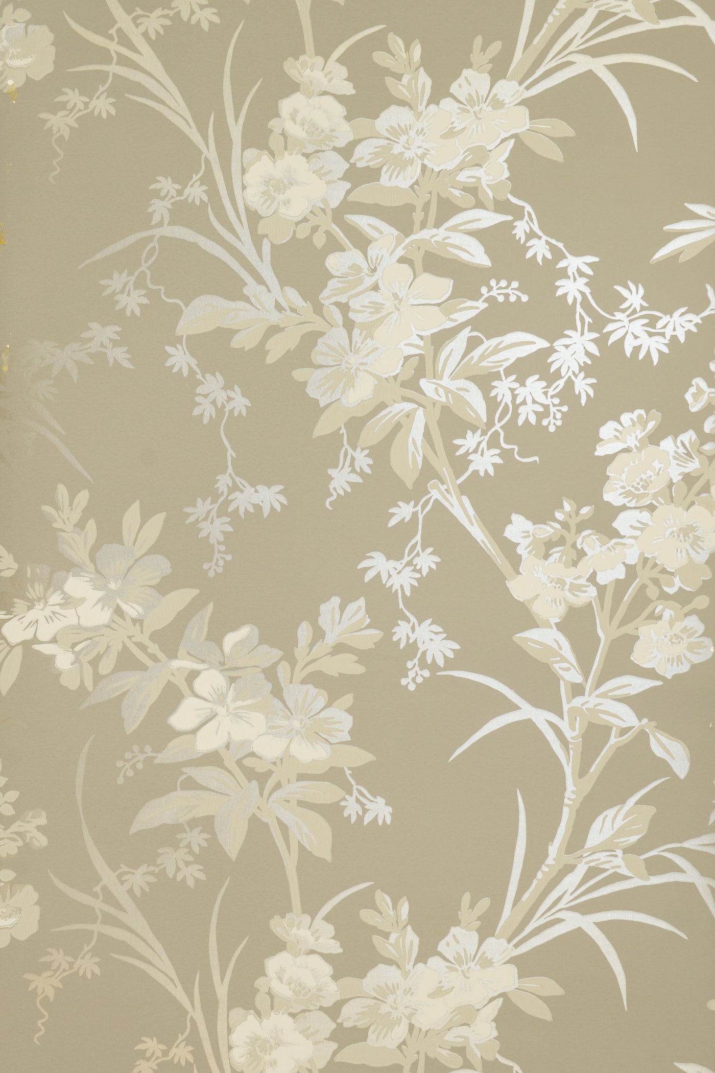 jmp-gar-01 mercury_TEMPLETON GARDEN wallpaper