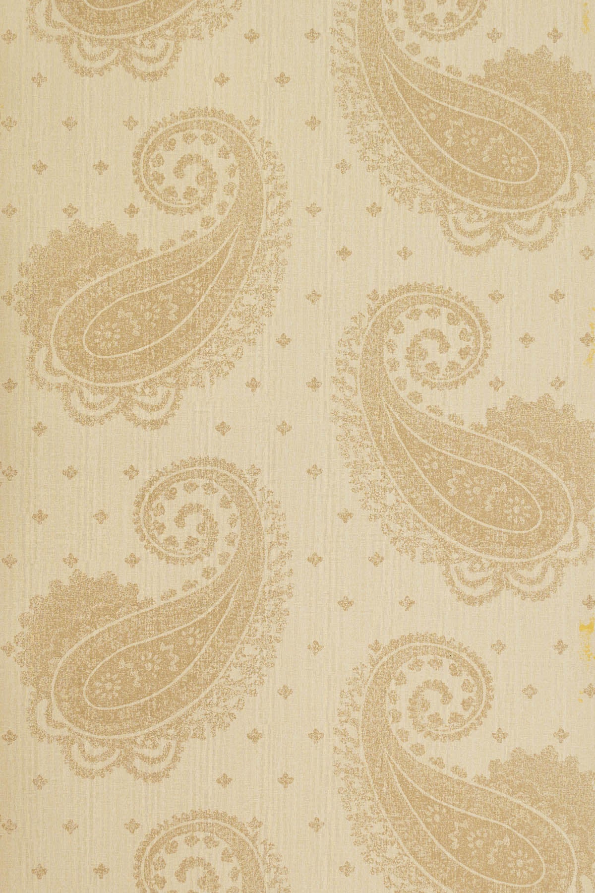 jmp-pai-01 string_TEMPLETON PAISLEY wallpaper