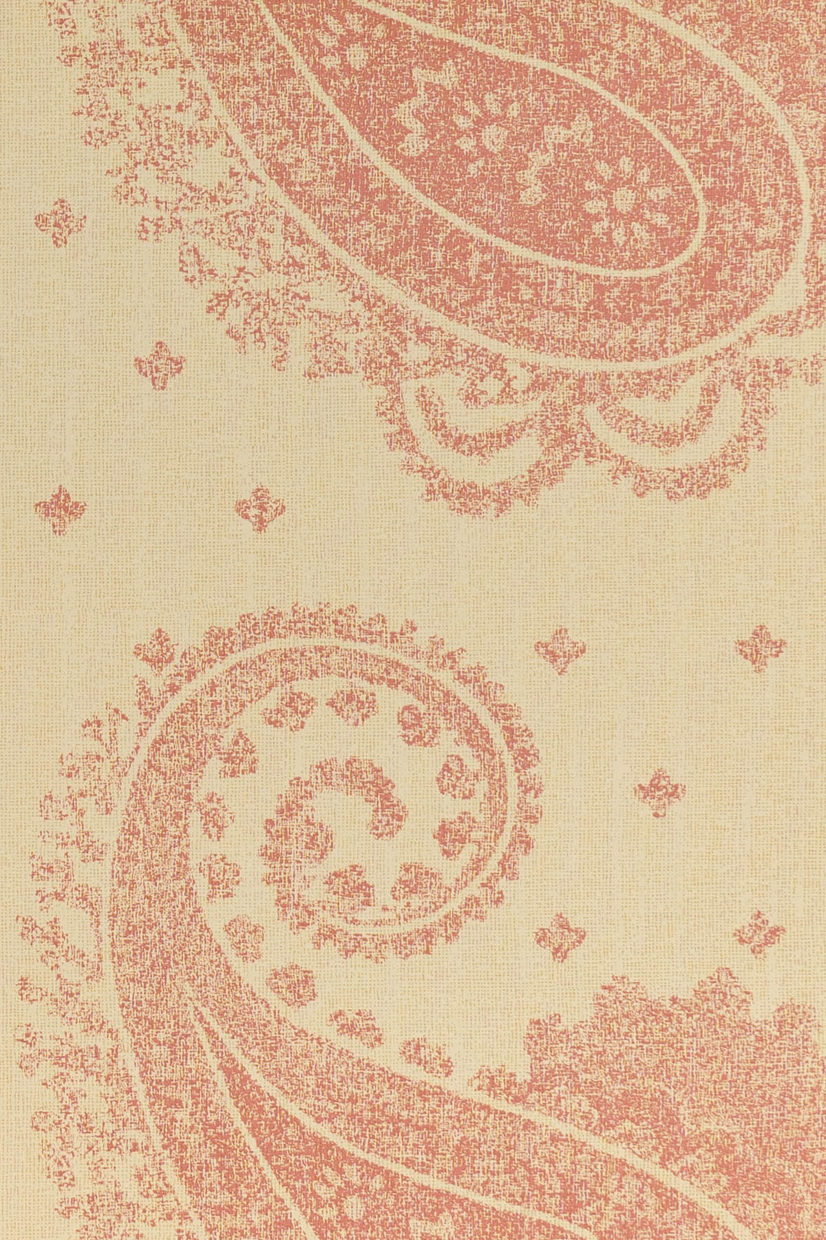 jmp-pai-02 rose_TEMPLETON PAISLEY wallpaper