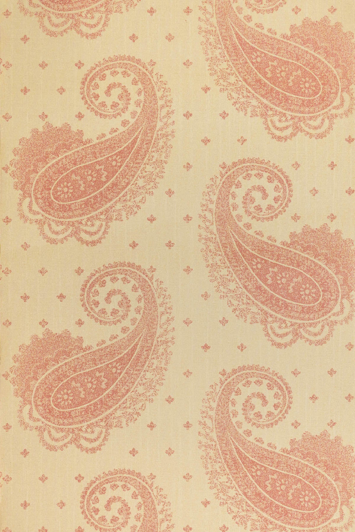 jmp-pai-02 rose_TEMPLETON PAISLEY wallpaper