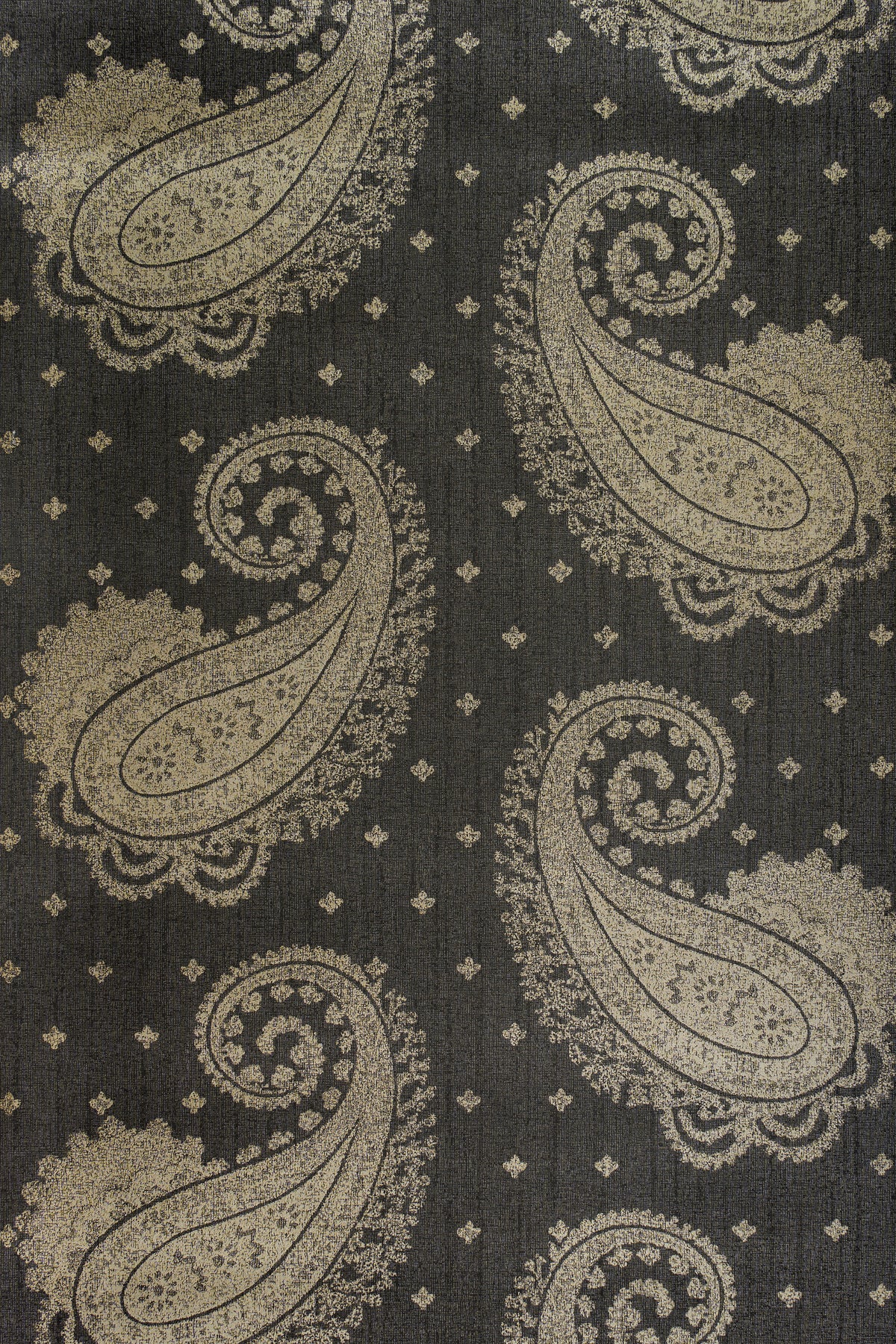 jmp-pai-03 bronze_TEMPLETON PAISLEY wallpaper
