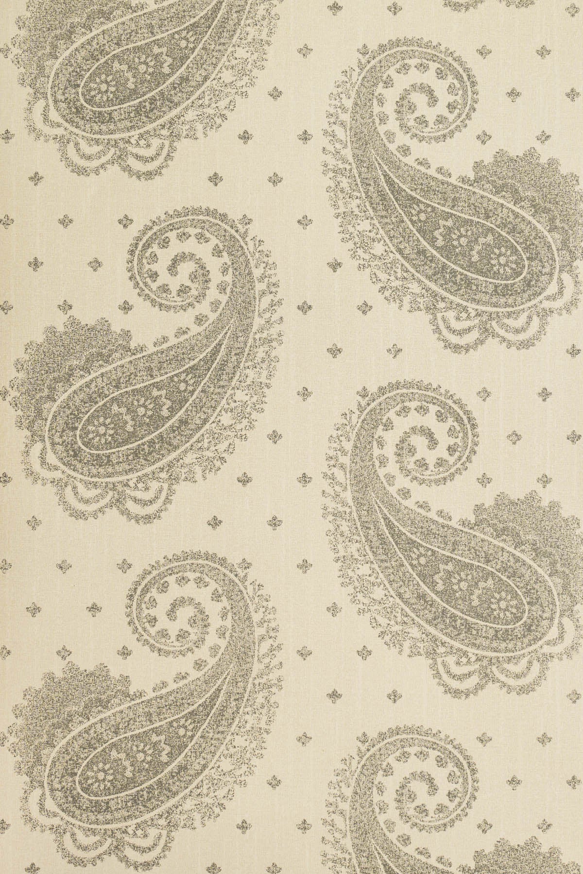 jmp-pai-06 charcoal_TEMPLETON PAISLEY wallpaper