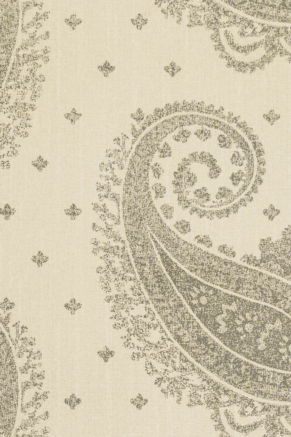 jmp-pai-06 charcoal_TEMPLETON PAISLEY wallpaper