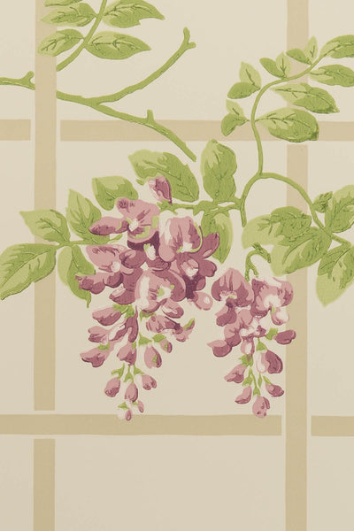 jmp-tre-01 wisteria_TEMPLETON TRELLIS wallpaper