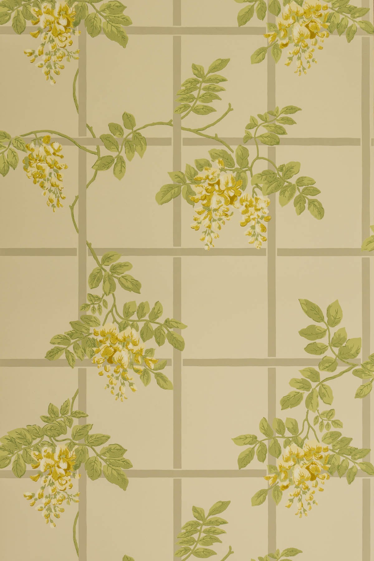 jmp-tre-03 buttermilk_TEMPLETON TRELLIS wallpaper