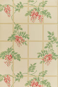 JMP-TRE-02 coral