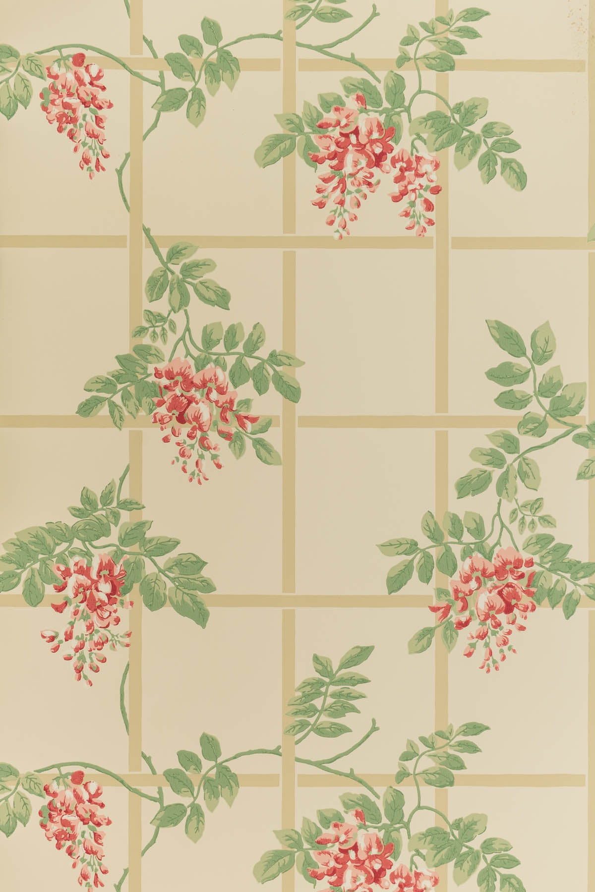 jmp-tre-02 coral_TEMPLETON TRELLIS wallpaper
