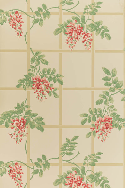jmp-tre-02 coral_TEMPLETON TRELLIS wallpaper