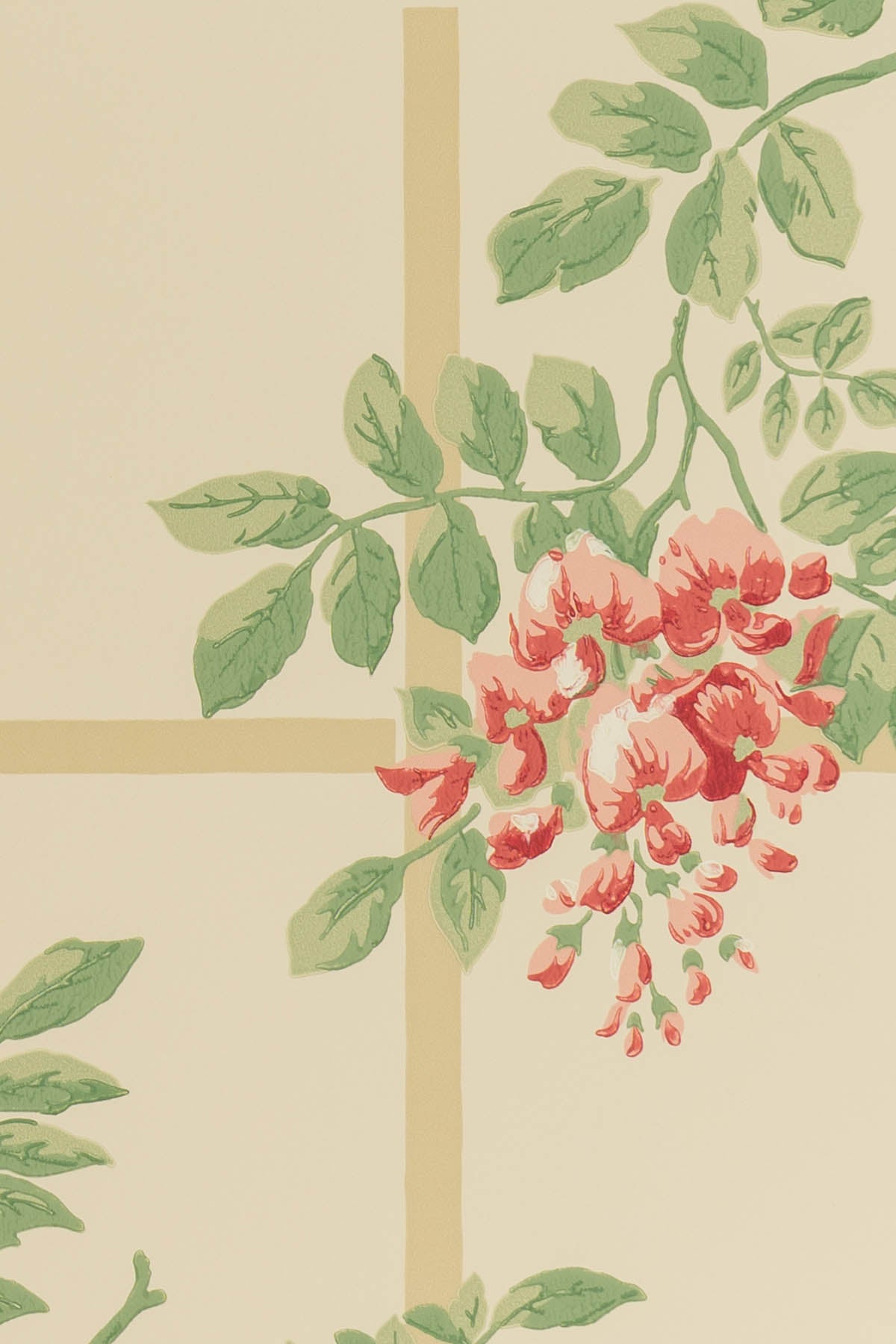 jmp-tre-02 coral_TEMPLETON TRELLIS wallpaper