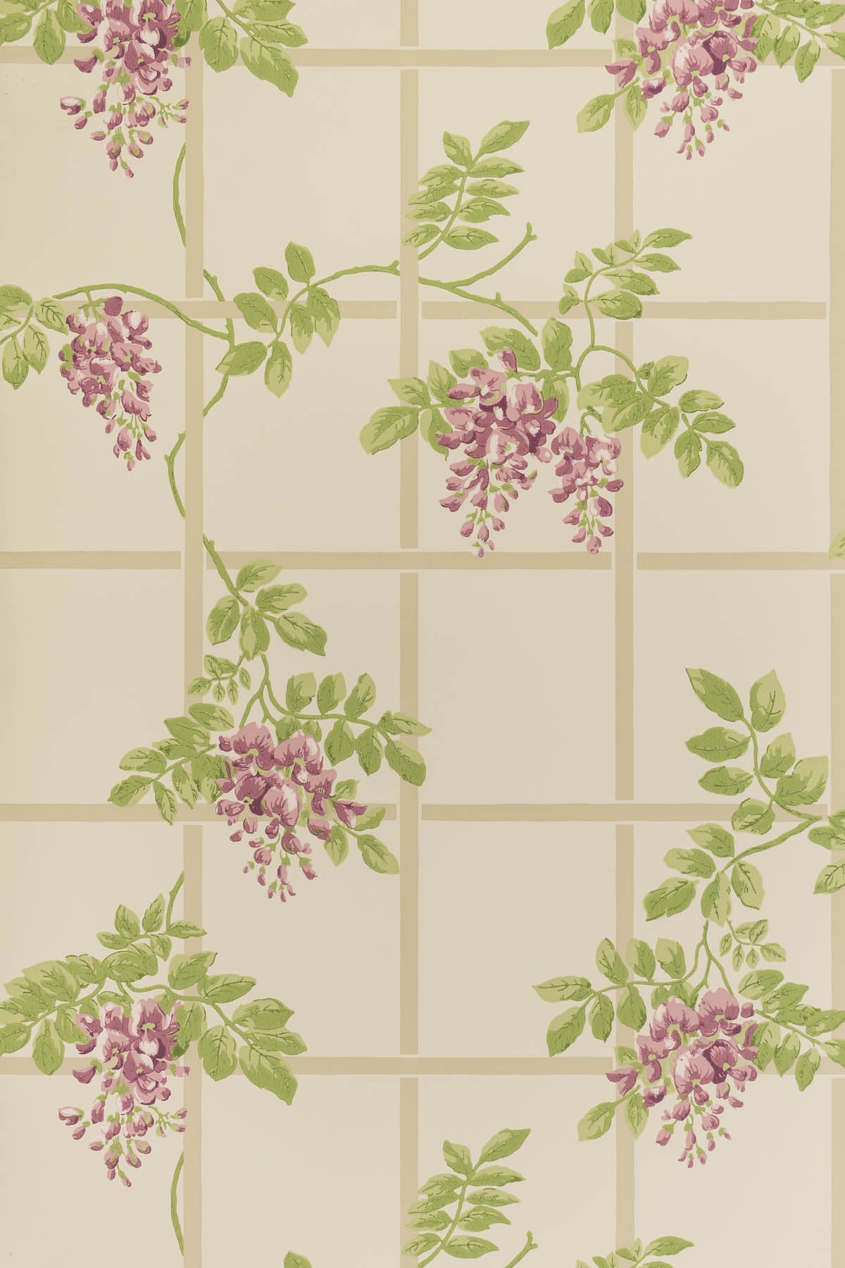 jmp-tre-01 wisteria_TEMPLETON TRELLIS wallpaper