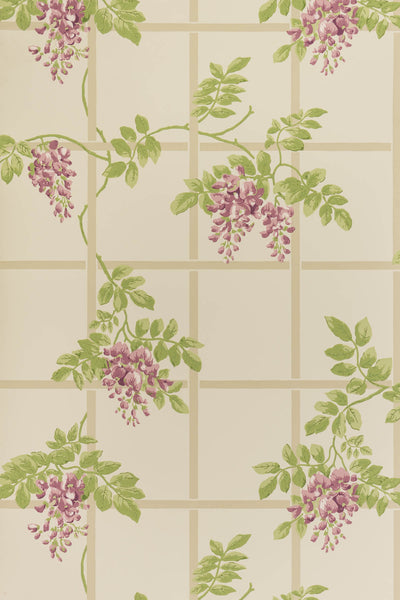 jmp-tre-01 wisteria_TEMPLETON TRELLIS wallpaper
